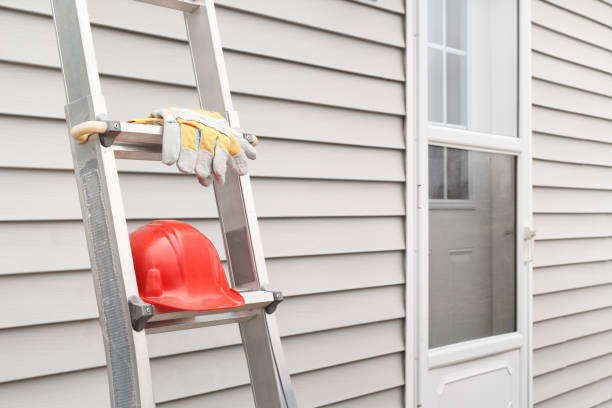 Best Moving and Downsizing Cleanouts  in Ellisville, MO
