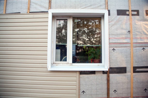 Best Hoarding Cleanup  in Ellisville, MO