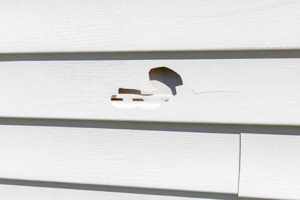 Best Foreclosure Cleanout  in Ellisville, MO